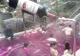 Cum arată singurul SPA din lume în care oamenii înoată în VIN. Se bălăcesc în bazine "alcoolice"