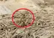 Imagini șocante! O femeie se zbate să scape de moarte după alunecările de teren din Peru