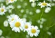 Horoscop aprilie 2017: Zodiile care vor avea mare noroc luna aceasta