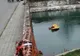 Trei români au murit, după ce au căzut cu maşina într-un râu din Italia