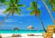 Oferte vacanță Tenerife. Reduceri la Vola.ro