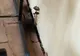 Imagini şoc la un liceu din Constanţa. Au crescut ciuperci în clasă din cauza mucegaiului 