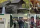 Comuna din România care s-a prezentat SINGURĂ la cel mai mare târg de turism. Ce are UNIC