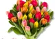 Felicitări de 8 Martie. Felicitări frumoase cu flori de Ziua Femeii: La mulţi ani de 8 martie!