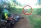Se plimbau cu motocicletele, când au dat peste o fiinţă ciudată. Au luat-o pe urmele ei şi ŞOC!