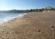 Monstru marin eşuat pe o plajă 
