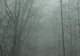 Vin ploile și se răcește vremea. Prognoza meteo pentru sâmbătă, duminică și luni