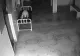 Ce se întâmplă cu sufletul omului după moarte. Imagini şocante surprinse într-un spital! 