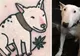 Animale de casă transformate în tatuaje. Vezi ce viziune amuzantă a avut acest artist