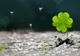 3 zodii cu noroc chior la BANI în primăvara lui 2017