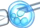 Totul despre fertilizarea in vitro - când medicina e la granița dintre știință și Dumnezeu