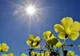 Vreme din ce în ce mai caldă. Ce temperaturi vor fi miercuri, joi și vineri