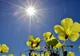Vremea se încălzește și mai mult. Ce temperaturi vom avea în weekend