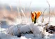 Fenomen meteo bizar: în prag de primăvară, a nins în Spania