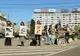 Veganii, revoltați de tăierea mielor de Paște. Au ieșit să protesteze la Cluj
