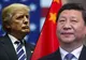 Întâlnire de gradul zero. Ce au stabilit Donald Trump și președintele Chinei
