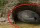 Se plimba cu maşina.A oprit să bea apă.A văzut un OU URIAŞ în râpă.L-a analizat. ŞOC ce era înăuntru