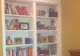 Au găsit o scară secretă în spatele bibliotecii. Au coborât treptele şi s-au ÎNGROZIT unde au ajuns
