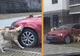 A lovit câinele şi a intrat în casă. Animalul s-a întors cu camarazii şi au mâncat maşina bărbatului