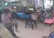 PANICĂ după ce un şarpe a intrat într-un internet cafe şi a început să atace clienţii