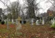 Bebeluşul a fost îngropat într-un cimitir. După câteva zile, nişte sunete s-au auzit din pământ.Şoc!