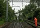 Trafic feroviar blocat pe Valea Prahovei. Trenuri oprite din cauza copacilor căzuţi pe calea ferată