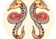 Horoscop 6 aprilie. CERTURILE, la ordinea zilei. O singură zodie are noroc cu carul! Iar cu BANII...