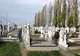 Alertă în Braşov: o fetiţă de 10 ani a murit, după un "joc" în cimitir. Medicii, şocaţi de incident