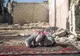 Unde ascund teroriștii ISIS bombele pentru a produce prejudicii maxime