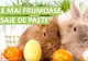 Cele mai inspirate 100 mesaje de Paște. Așa obții un zâmbet pe fața oricui