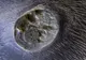 NASA a publicat o imagine controversată de pe Marte. "Este un oraș ascuns al extratereștrilor"