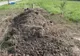 Se plimbau la munte, când au auzit un sunet ciudat venit dintr-un morman de pământ 