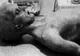 Noi teorii ale conspirației despre ”Piatra Roswell”. Ce s-a întâmplat în 1947