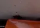 Plouă afară, plouă și în tramvai! Imagini surprinse într-un mijloc de transport din capitală
