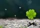 3 zodii care se îmbogăţesc peste noapte în luna mai! Le pică banii din cer!