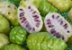 Ce este, de fapt, NONI. E supranumit fructul zeilor