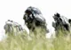 Un parașutist militar a murit pe Aerodromul Clinceni