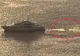 Un elicopter s-a prăbuşit în Norvegia - trei răniţi, unul dintre ei, în stare gravă