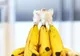 Ce se întâmplă dacă înfăşori codiţa bananelor în folie de plastic. Vei avea o surpriză!