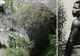 S-a dus să-şi ia băutură. Când s-a întors, satul lui fusese ras de pe faţa pământului. Era SINGUR
