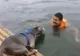 Viral! Cum reacţionează doi căţei atunci când stăpânul lor se îneacă 