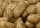 La un pas de o contaminare majoră! 1100 de tone cartofi din Egipt cu dăunători
