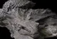 Monstru preistoric păstrat intact a uimit cercetătorii. Singura mumie a unui dinozaur