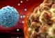 Medicament anticancer care țintește tumorile fără să afecteze țesuturile sănătoase aproabe aprobat