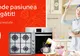 eMAG Cooking Days – Aragazuri, hote si cuptoare cu reduceri impresionante
