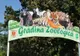 Adăpost de lux pentru maimuțe, la ZOO Galați. Grădina Zoologică NU are însă maimuțe