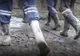 Accident de muncă în mina Livezeni