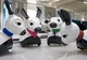 MiRo, robo-câinele care sare în ajutorul bătrânilor. Ce avantaje are invenția