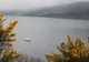 Monstrul din Loch Ness a fost văzut din nou. Cea mai clară fotografie. Cum arată de fapt 