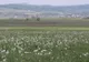 Zona din România, celebră chiar şi peste hotare. Turiştii vorbesc despre o adevărată minune